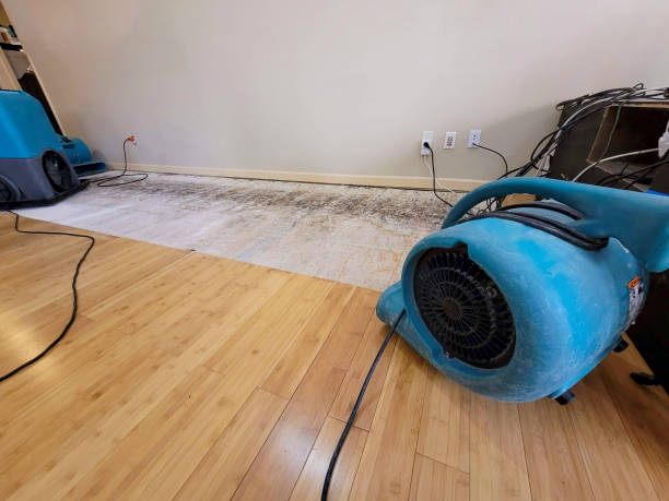 Professional Water Damage Repair technician working in Palm Desert, CA